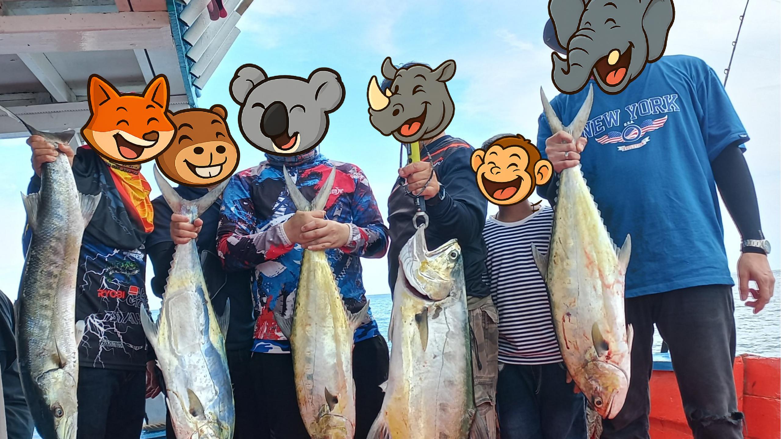 Understanding Currents – The Hidden Pathways of the Sea