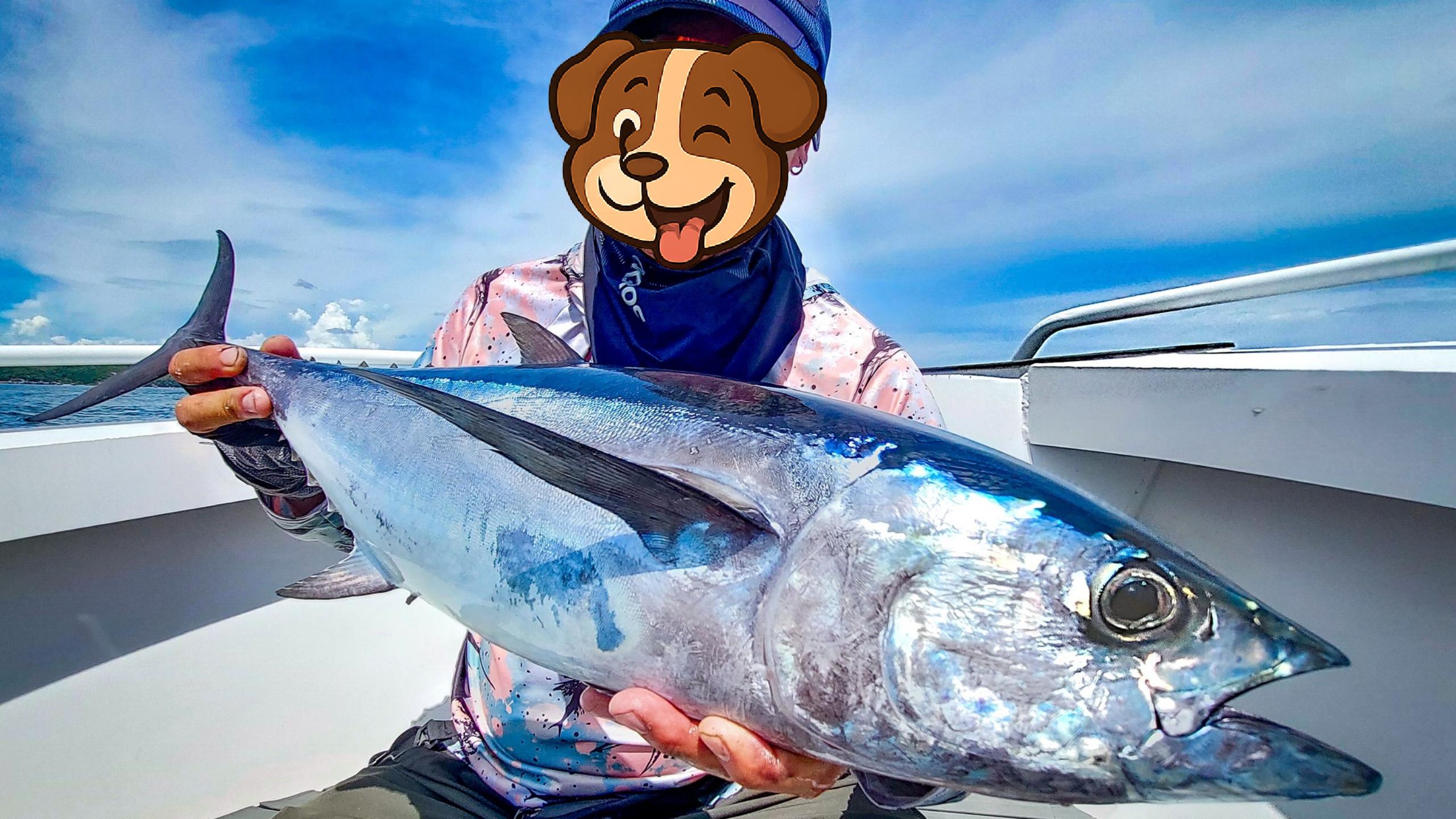 25.08~09 Tuna Season Recap – 262 Fish Landed!